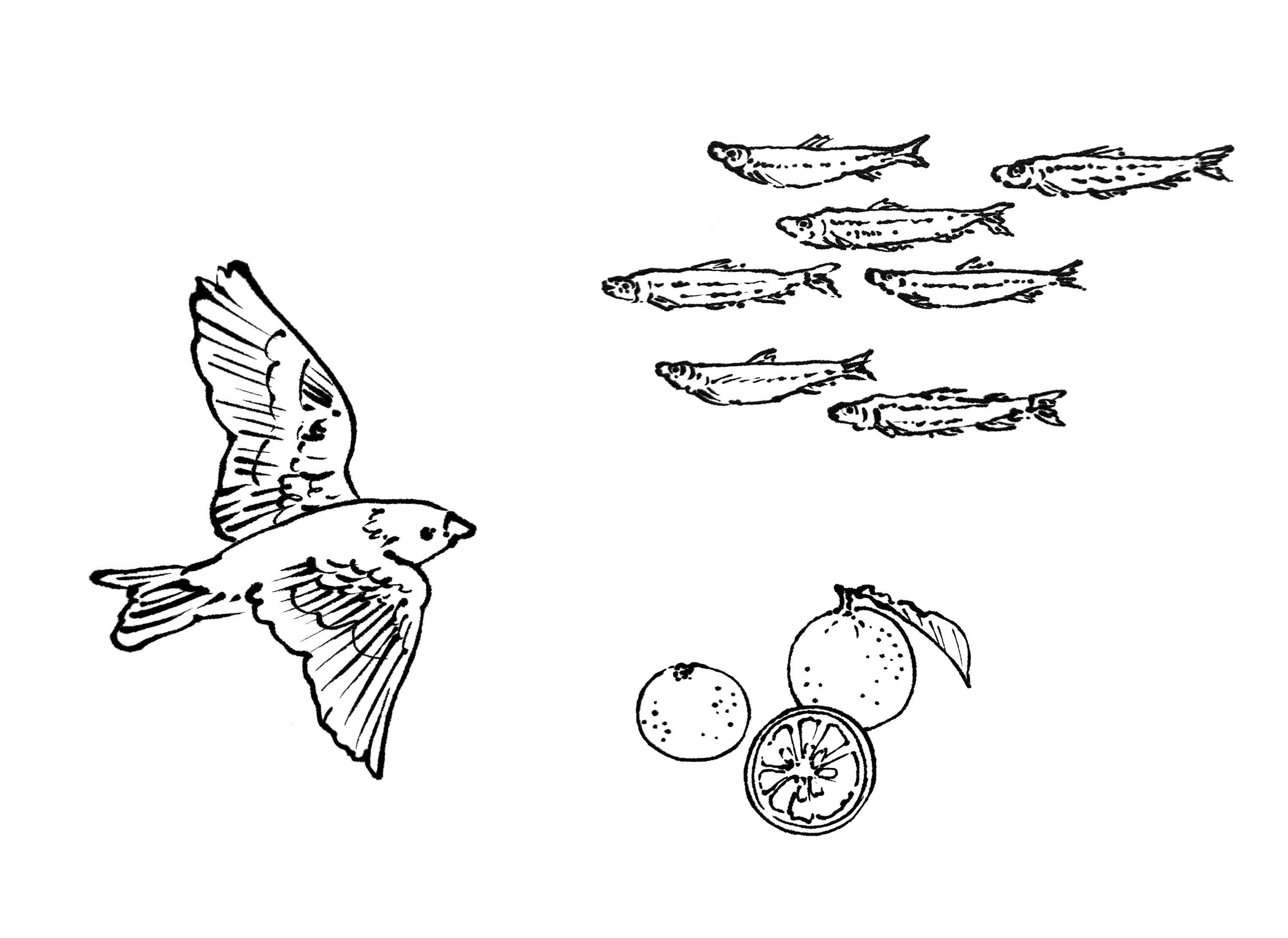 2024 二十四節気カレンダーの制作裏 ー季節の挿絵 | D-BROS